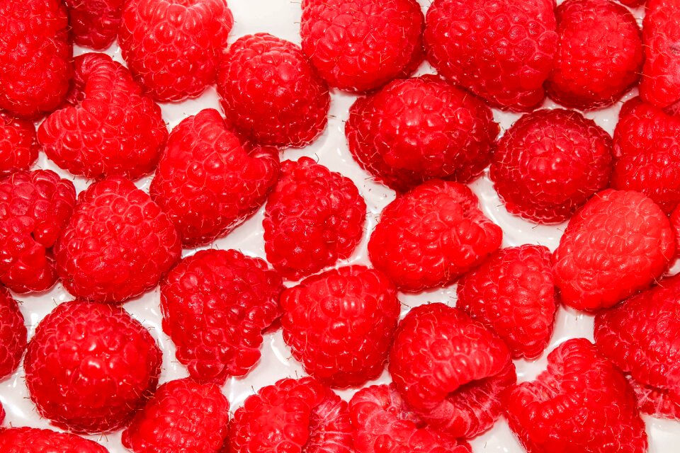 Delicious berry red food