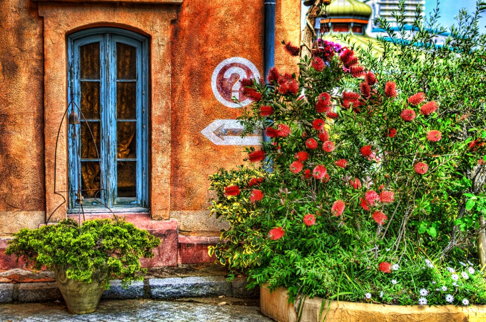 Street corner shrubbery landscape photo