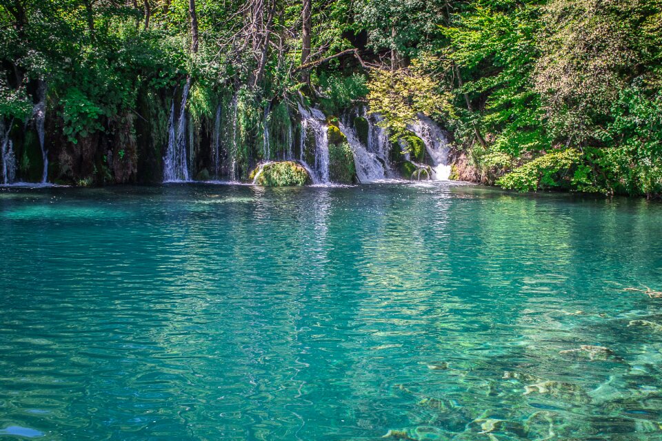 Landscape green flowing