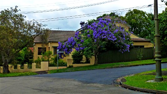 14 Woodside Avenue, Lindfield, New South Wales, Australia.