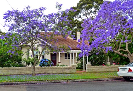 20 Northcote Road, Lindfield, New South Wales, Australia. photo