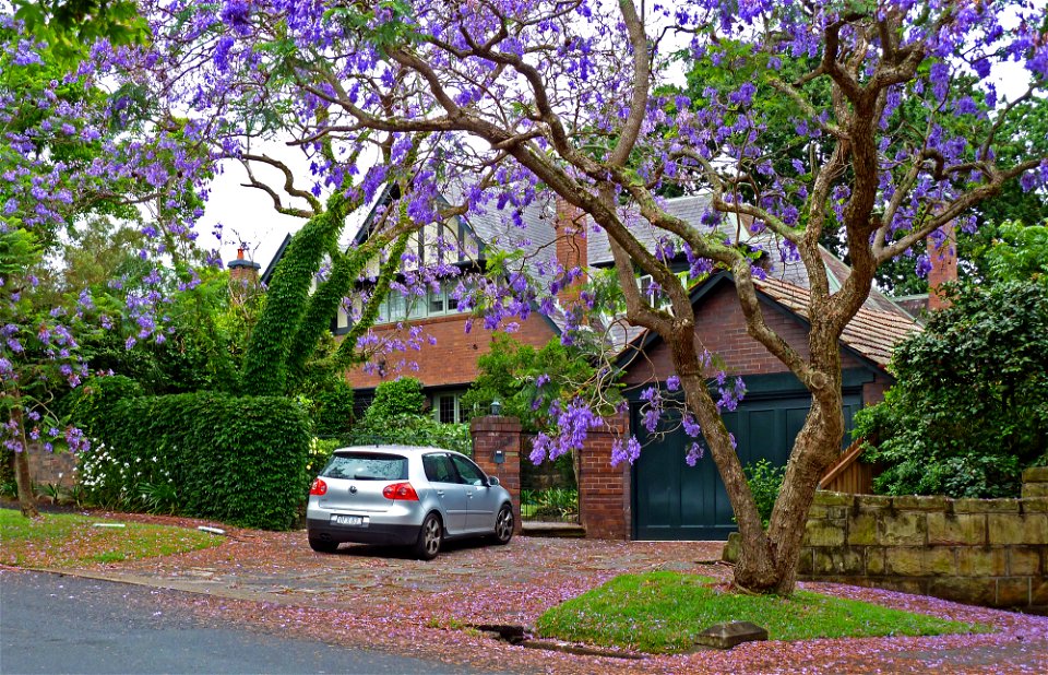 26 Springdale Road, Killara, New South Wales, Australia. photo