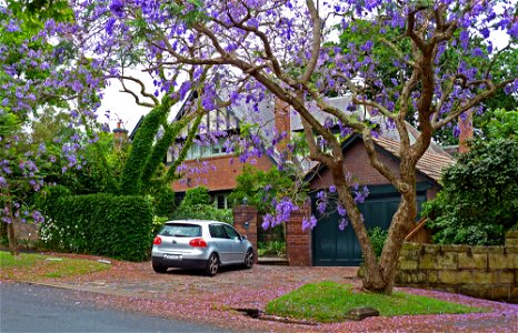 26 Springdale Road, Killara, New South Wales, Australia.