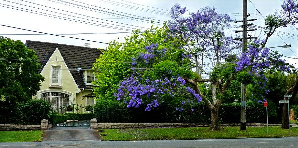 33 Stanhope Road, Killara, New South Wales, Australia. photo