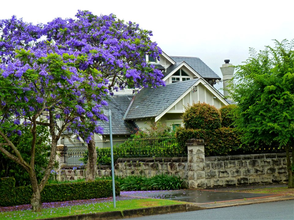 52 Springdale Road, Killara, New South Wales, Australia.