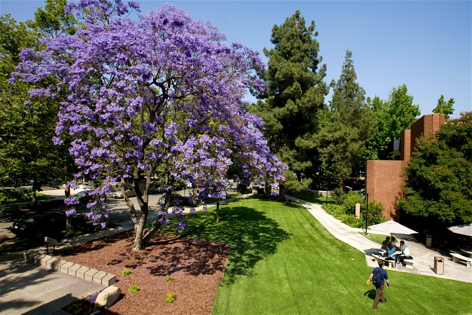 Campus Exterior, Claremont Graduate University