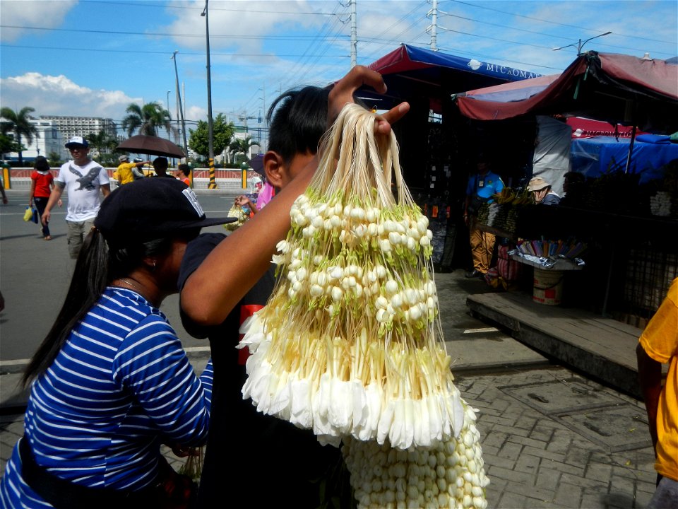 Baclaran 14°31'43"N   120°59'21"E Berma Centre Building (Redemptorist Road, Baclaran, Parañaque City) Tiangge (Baclaran) Jasminum sambac in the Philippines Jasminum sambac Sampaguita garland vendors i