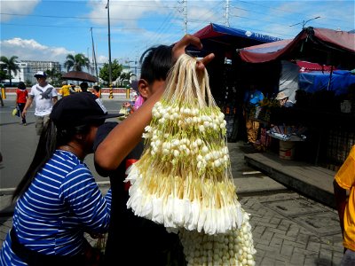 Baclaran 14°31'43"N   120°59'21"E Berma Centre Building (Redemptorist Road, Baclaran, Parañaque City) Tiangge (Baclaran) Jasminum sambac in the Philippines Jasminum sambac Sampaguita garland vendors i