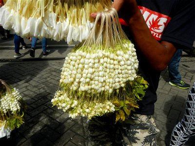 Baclaran 14°31'43"N   120°59'21"E Berma Centre Building (Redemptorist Road, Baclaran, Parañaque City) Tiangge (Baclaran) Jasminum sambac in the Philippines Jasminum sambac Sampaguita garland vendors i
