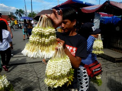 Baclaran 14°31'43"N   120°59'21"E Berma Centre Building (Redemptorist Road, Baclaran, Parañaque City) Tiangge (Baclaran) Jasminum sambac in the Philippines Jasminum sambac Sampaguita garland vendors i