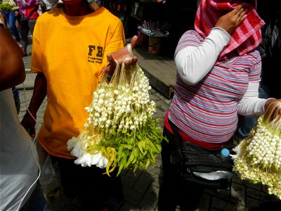 Baclaran 14°31'43"N   120°59'21"E Berma Centre Building (Redemptorist Road, Baclaran, Parañaque City) Tiangge (Baclaran) Jasminum sambac in the Philippines Jasminum sambac Sampaguita garland vendors i