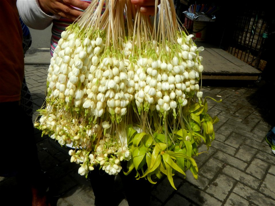 Baclaran 14°31'43"N   120°59'21"E Berma Centre Building (Redemptorist Road, Baclaran, Parañaque City) Tiangge (Baclaran) Jasminum sambac in the Philippines Jasminum sambac Sampaguita garland vendors i