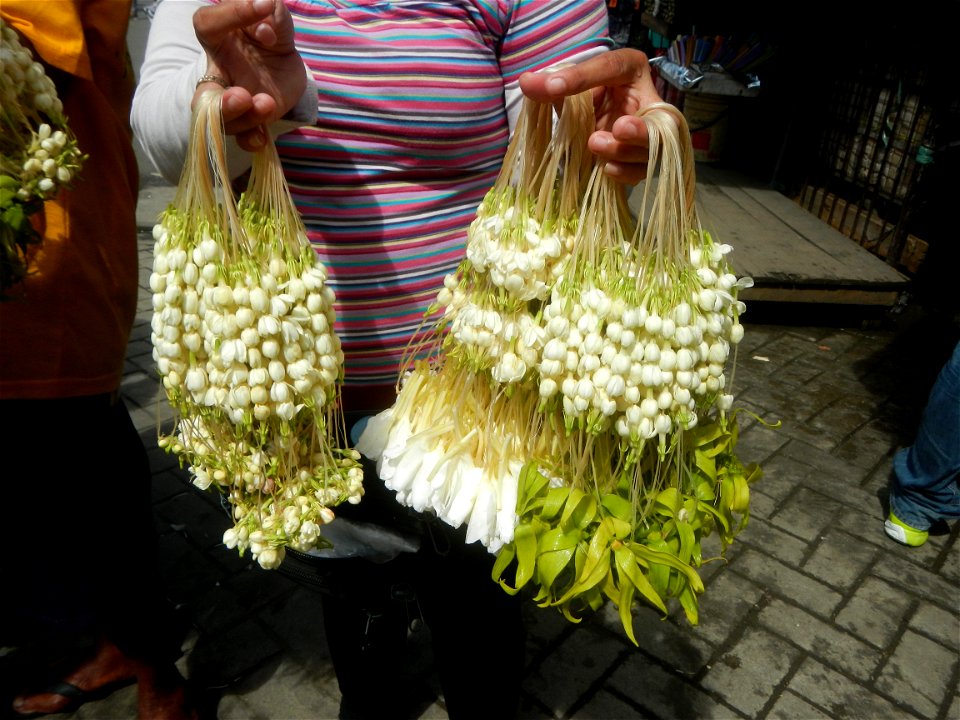 Baclaran 14°31'43"N   120°59'21"E Berma Centre Building (Redemptorist Road, Baclaran, Parañaque City) Tiangge (Baclaran) Jasminum sambac in the Philippines Jasminum sambac Sampaguita garland vendors i