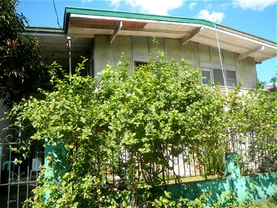 Sampaguita Jasminum sambac in the Philippines Category:Sitios and puroks of the Philippines Subdivisions of the Philippines Barangays Poblacion 14°57'17"N   120°54'2"E Santo Cristo  14.9522, 120.9259 
