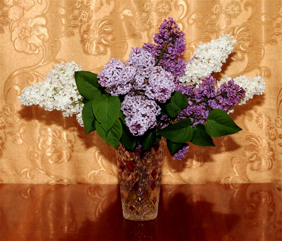 Lilac bouquet (Syringa vulgaris). Ukraine.