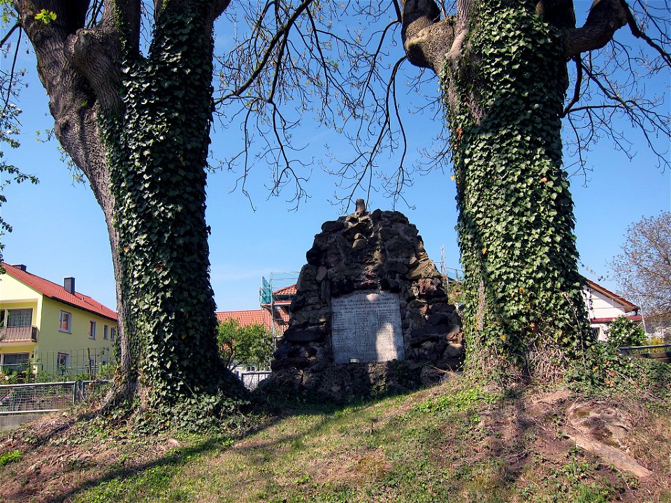 Zwei Eschen in Untererthal