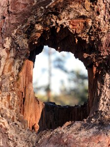 Outdoor landscapes himmel