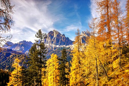 Belluno alm nature