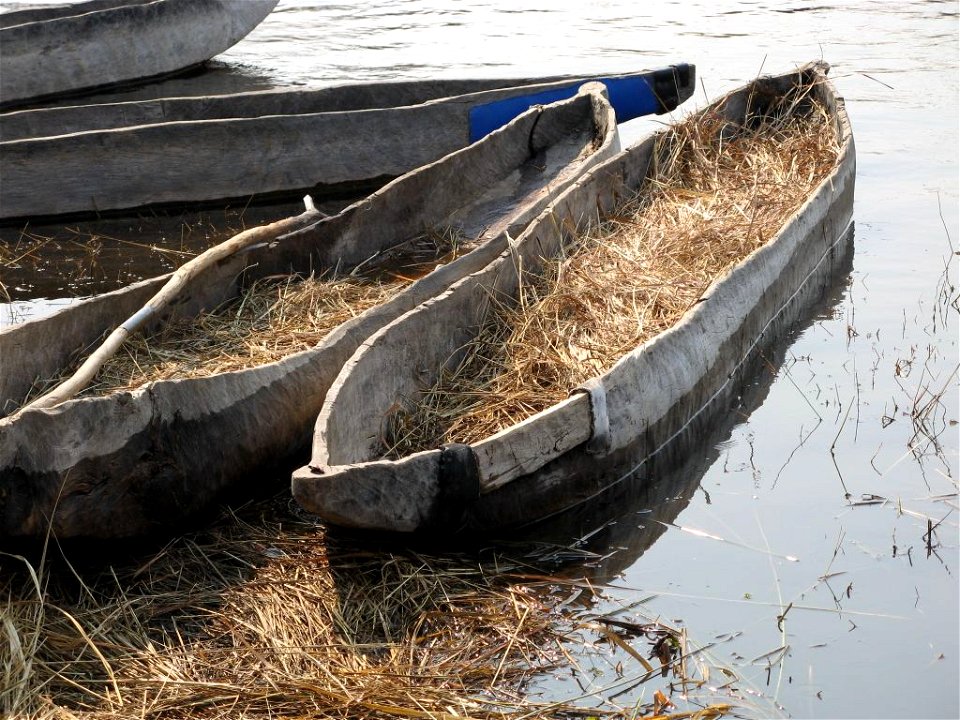 "Makoro" - dugout canoes in the Okavango Delta region, Botswana