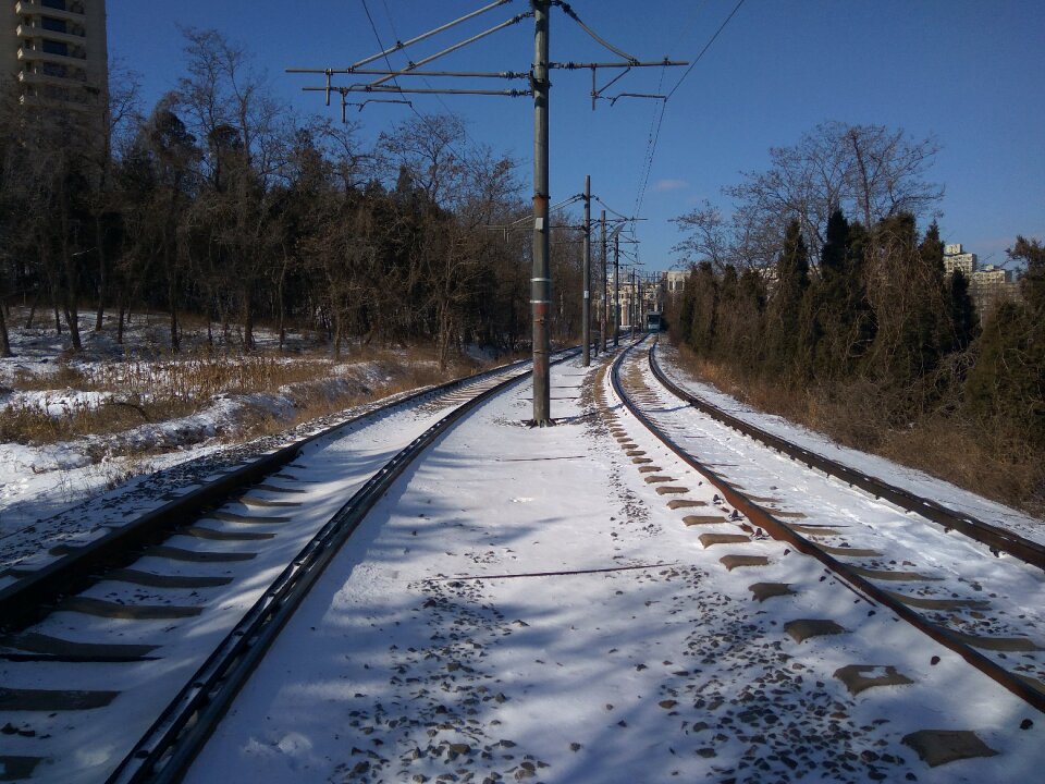 Railway snow telephone poles