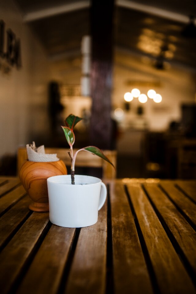 Brown cup wooden