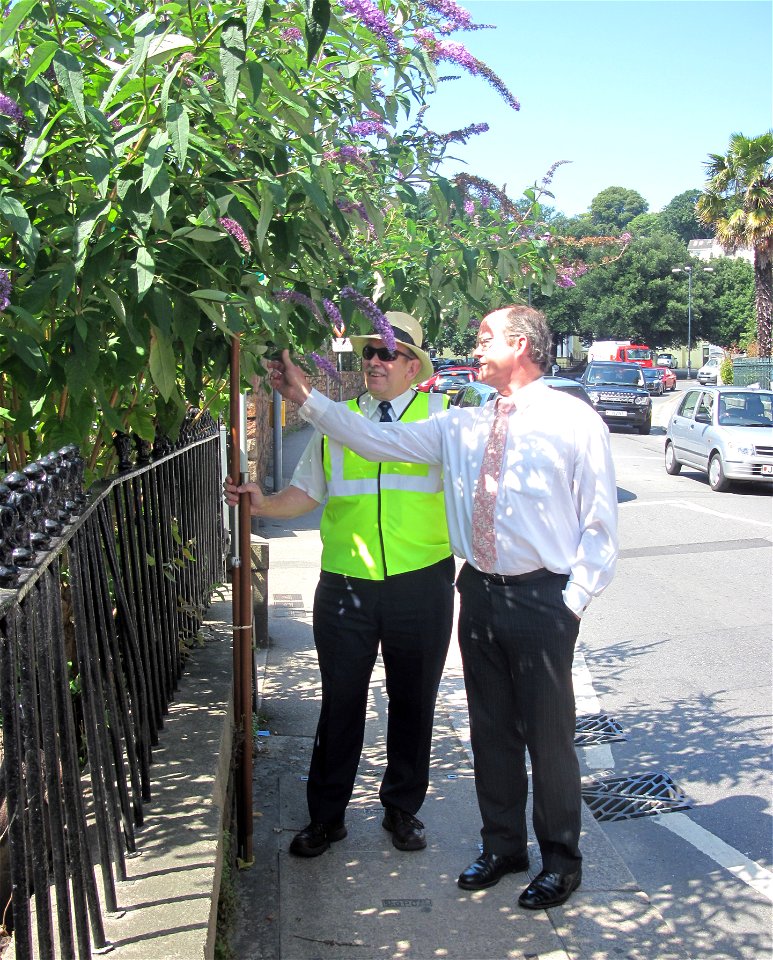 Visite du Branchage, Saint Helier, Jersey, July 2011