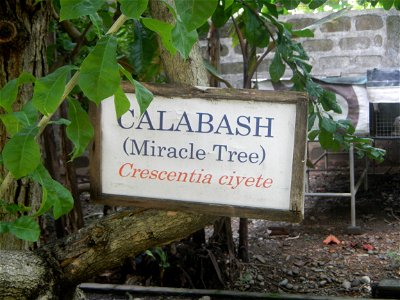Aven's Nature Farm Artemio G. Veneracion President of ARaMP, Inc. in Barangays Santa Barbara, 14°56'21"N 120°53'25"E Baliuag, Bulacan, Bulacan (Note: Judge Florentino Floro, the owner, to repeat, Dono