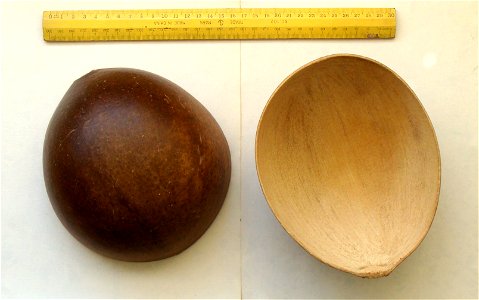 Totumas o taparas, recipientes hechos con la cáscara del fruto del totumo o taparo (Crescentia cujete)