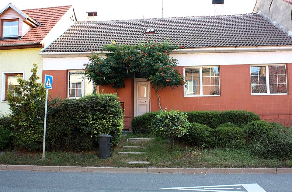Hlavní street, Campsis, Brno-Komín