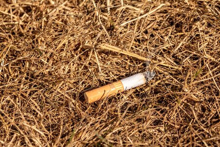 Smoke dry grass drought
