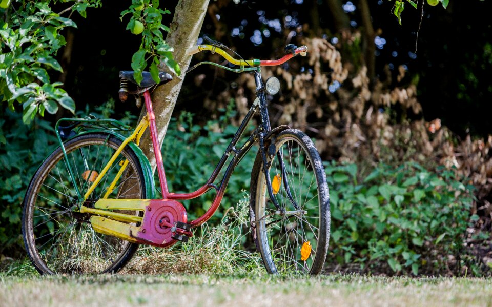 Wheel nature color