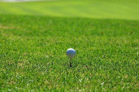 Sport green golfers