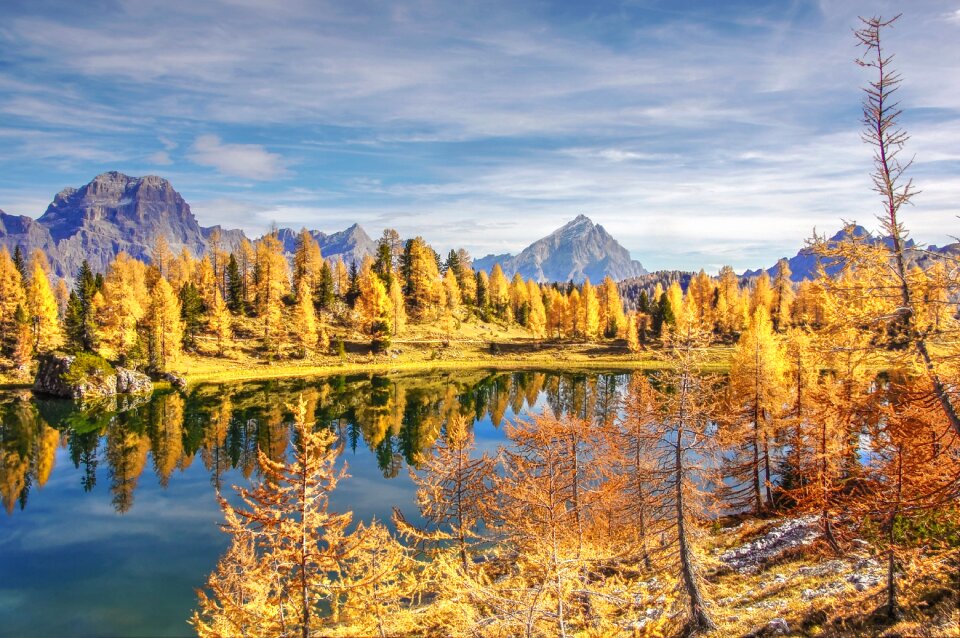 Landscape nature alpine