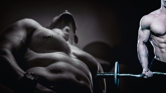 Young muscles biceps