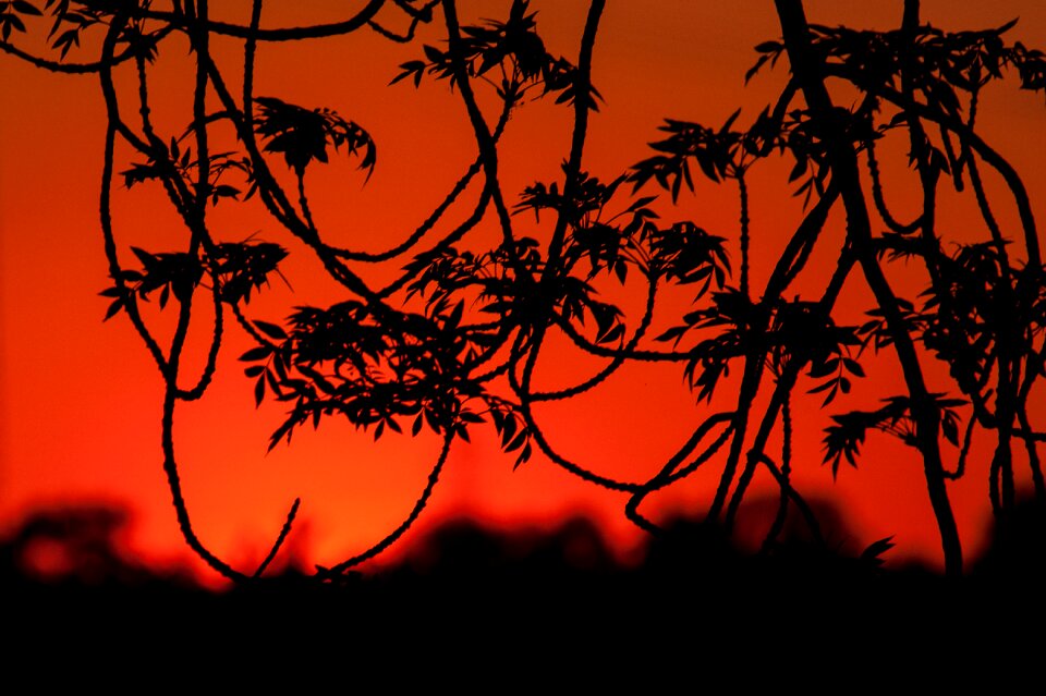 Sunset evening sky abendstimmung