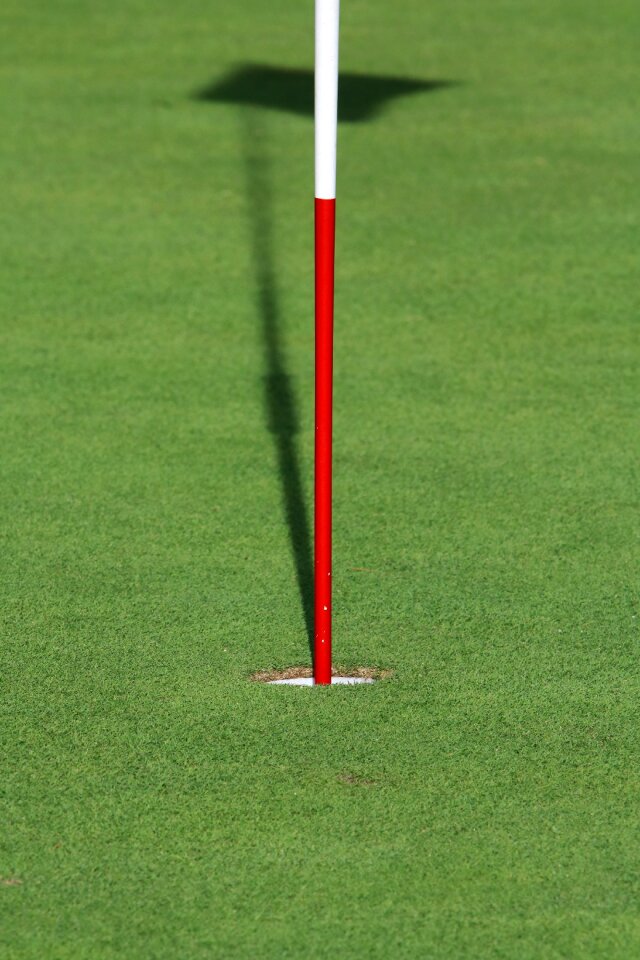 Sport green golfers
