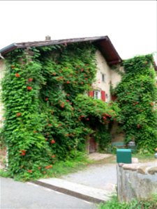 Ferm in the village of Irouléguy (Pyrénées-Atlantiques, France).
