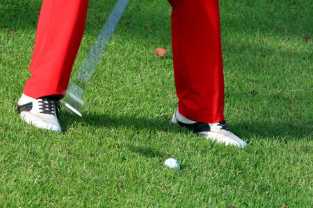 Sport green golfers