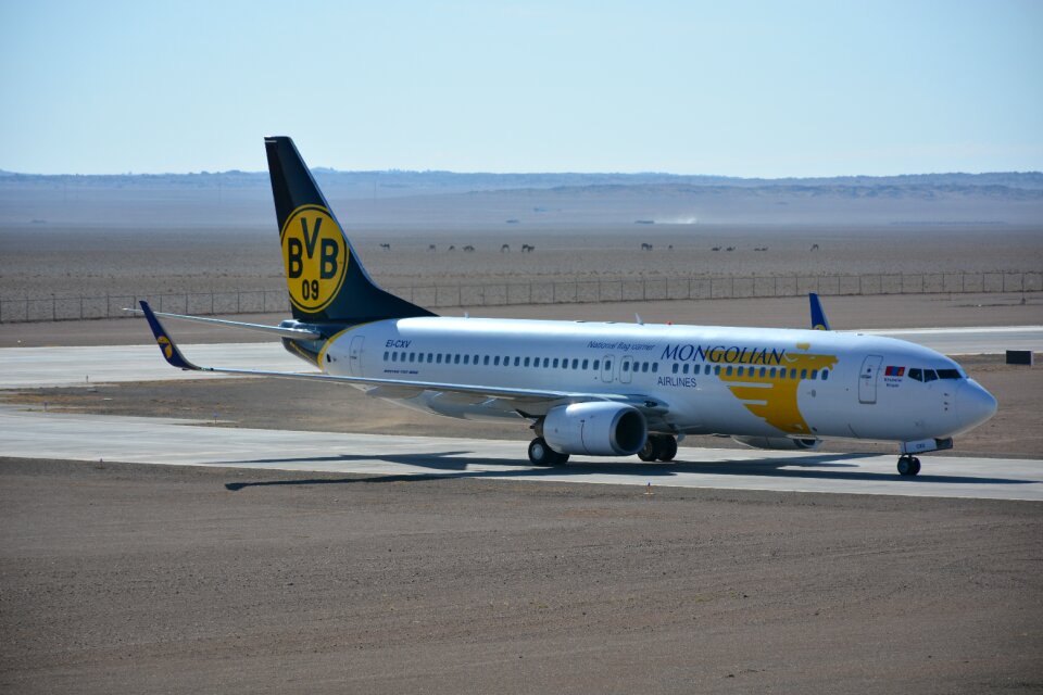 Aircraft landing aviation