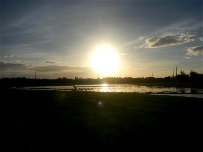 Paddy fields and vegetable (Capsicum annuum var. longum, Okra, Momordica charantia and Vigna unguiculata subsp. sesquipedalis) plantations in Upig - Bagong Barrio, San Ildefonso, Bulacan Barangays Upi photo