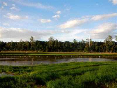 Paddy fields and vegetable (Capsicum annuum var. longum, Okra, Momordica charantia and Vigna unguiculata subsp. sesquipedalis) plantations in Upig - Bagong Barrio, San Ildefonso, Bulacan Barangays Upi photo