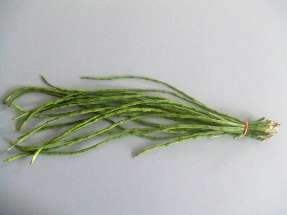 Better picture of Vigna unguiculata, bought at the Binnenrotte Market in Rotterdam, The Netherlands.