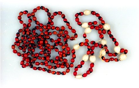 Jewelry, clothing, and toys made from colorful but highly poisonous jequirity beans, the subject of seven recalls in 1969 alone, represented a major consumer product challenge for FDA before such comm photo