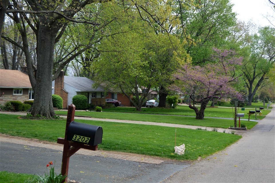Houses on the northern side of Minerva Lake Road, east of the Fairview Drive intersection, in Minerva Park, Ohio, United States.