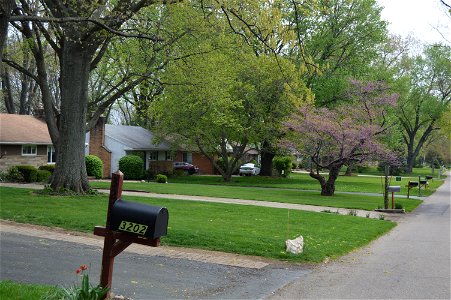 Houses on the northern side of Minerva Lake Road, east of the Fairview Drive intersection, in Minerva Park, Ohio, United States.