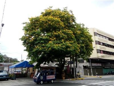 Roosevelt Avenue, Quezon City, Legislative districts of Quezon City District 6, Barangays of Quezon City Paraiso beside Mariblo, Santa Cruz, District I, Area IV, San Francisco del Monte, from and besi