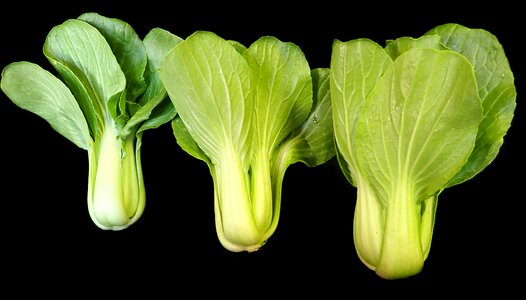 Vegetarian cooking diet