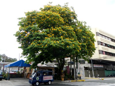 Roosevelt Avenue, Quezon City, Legislative districts of Quezon City District 6, Barangays of Quezon City Paraiso beside Mariblo, Santa Cruz, District I, Area IV, San Francisco del Monte, from and besi
