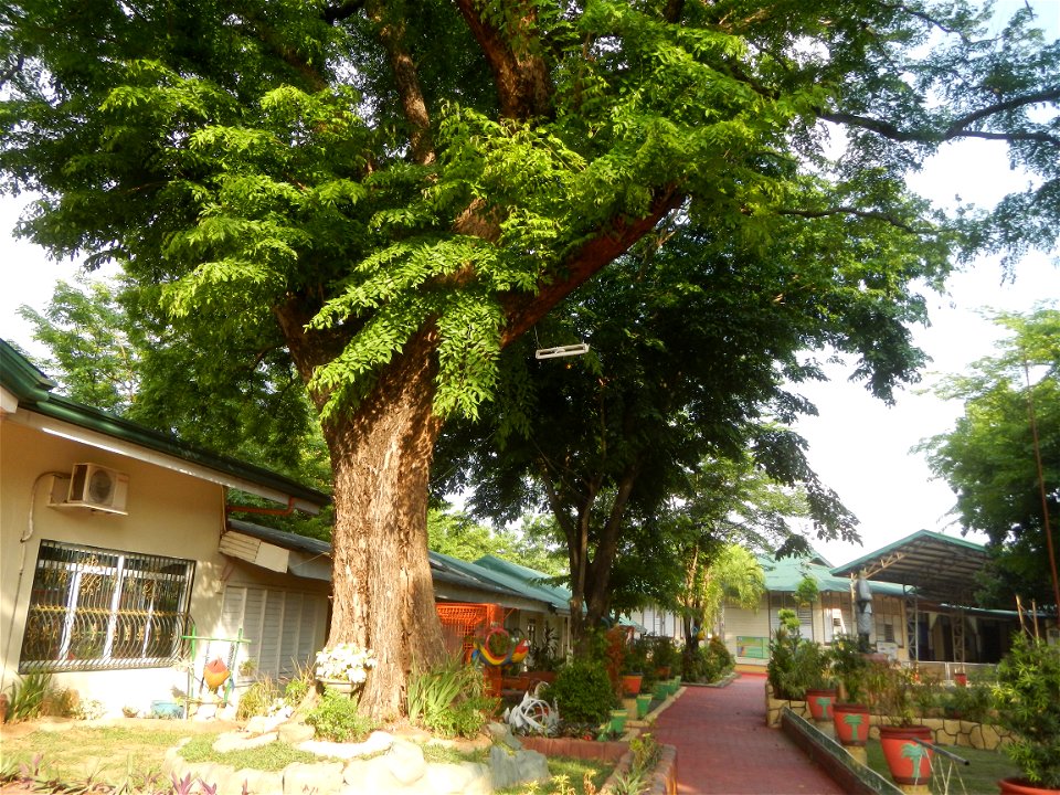 Gen. Gregorio del Pilar Elementary School Sitio Malusak, Santa Ana, Bulakan, Bulacan E. S. Garcia Hospital in Sitio Malusak, Santa Ana, Bulakan, Bulacan Holy Cross Fiesta Patronales Procession (Sitio 
