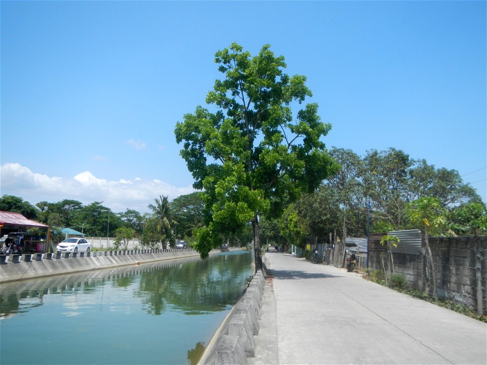 Canal lining NIA REGION 3 BANE IMO  Views of Parulan (irrigation canals along lateral-main NIA roads) 2021 Men with Salbabida (inner tubes) in irrigation canals